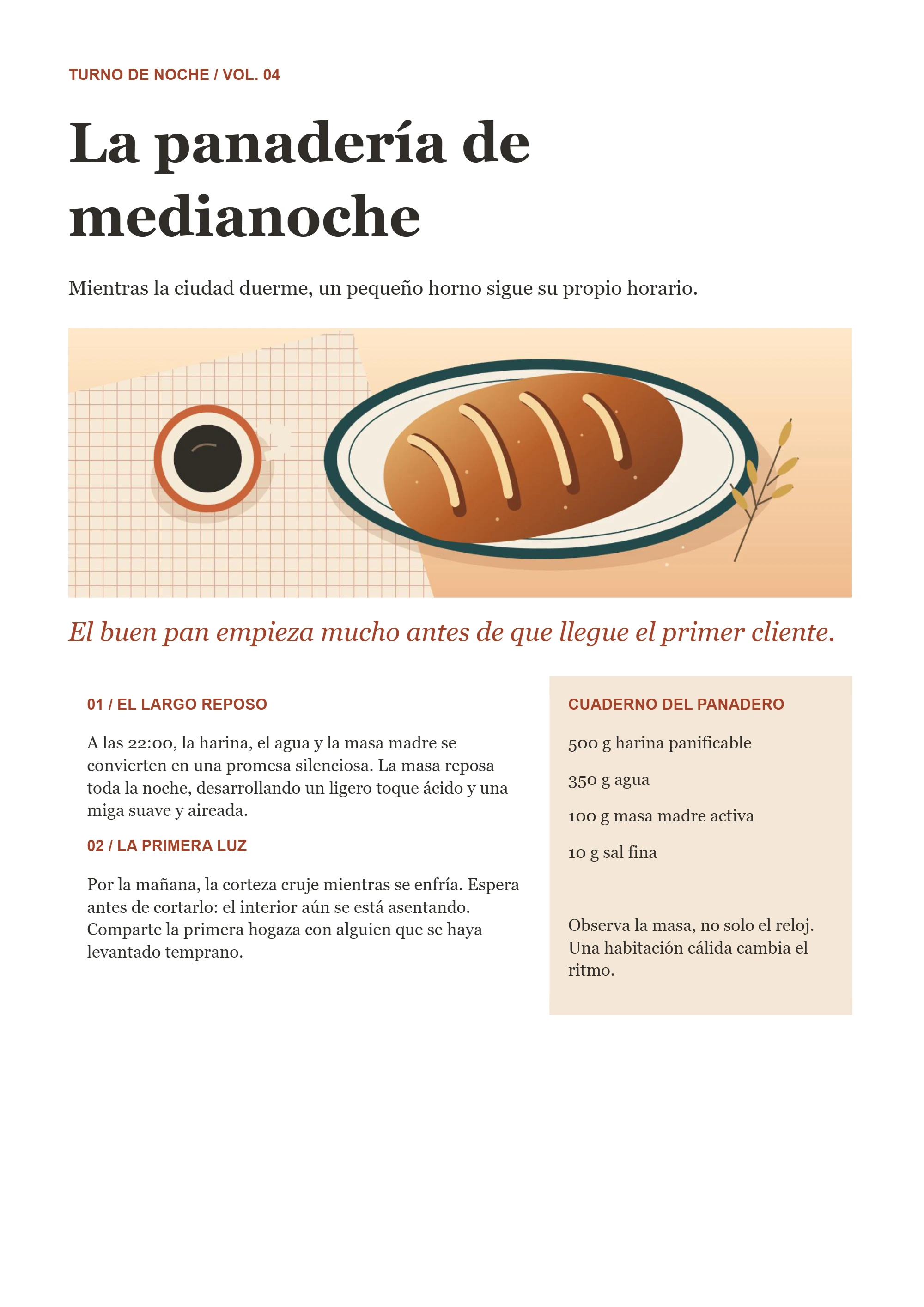 Translated Word document in Spanish